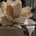 Wedding Cakes