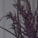 Ceremony Décor