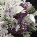 Bridal Bouqet