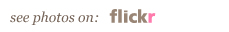 Flickr Link